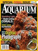 Freshwater and Marine Aquarium